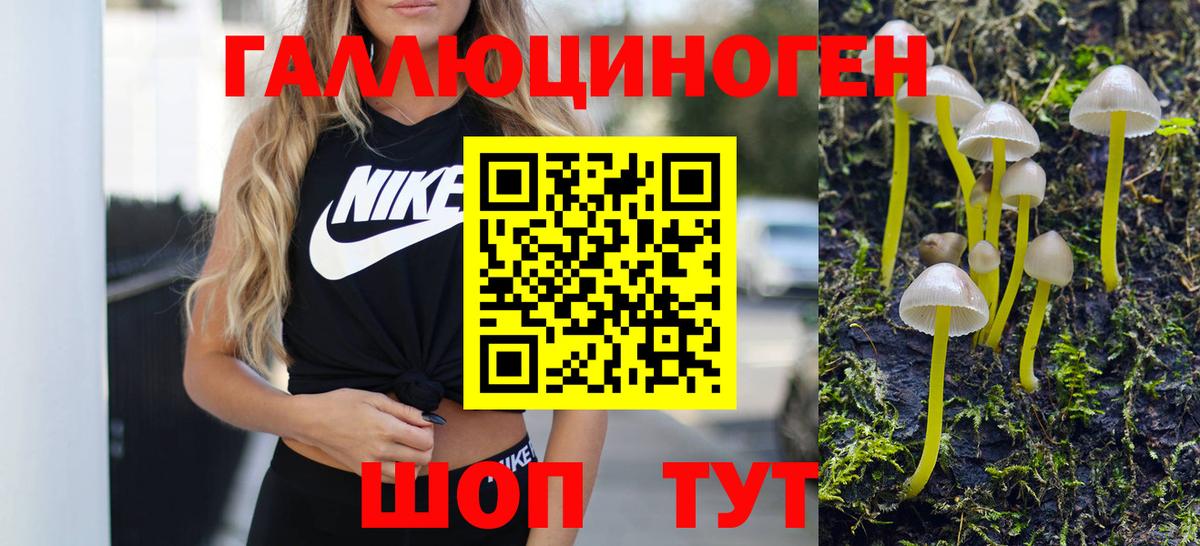 Псилоцибиновые грибы мухоморы Казань