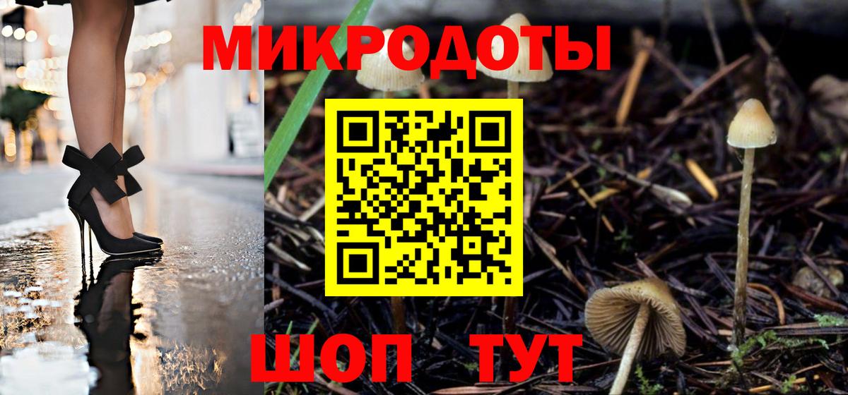 магазин продажи   Псилоцибиновые грибы Magic Shrooms  Казань  Вход с VPN  Галлюциногенные грибы Psilocybe 